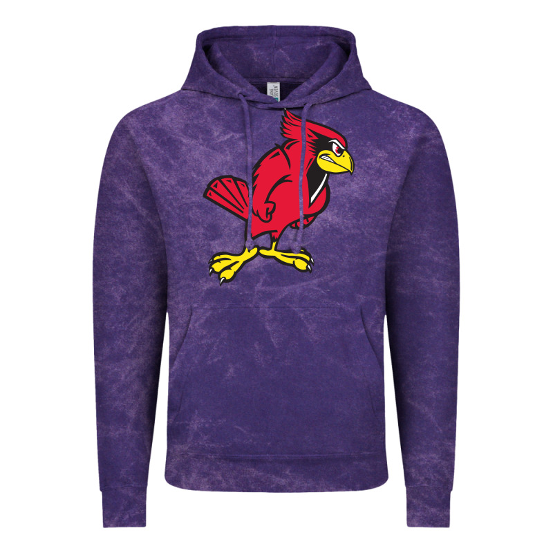 Illinois State Redbirds Vintage Hoodie by linhVisuals | Teevron