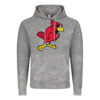 Cloud Rock illinois state redbirds Vintage Hoodie - linhVisuals