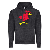 Vintage Black illinois state redbirds Vintage Hoodie - linhVisuals