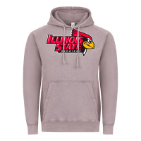 Vintage Zinc illinois state redbirds Vintage Hoodie - linhVisuals