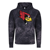 Cloud Black illinois state redbirds Vintage Hoodie - linhVisuals
