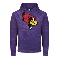 Cloud Purple illinois state redbirds Vintage Hoodie - linhVisuals