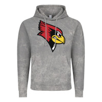 Cloud Rock illinois state redbirds Vintage Hoodie - linhVisuals