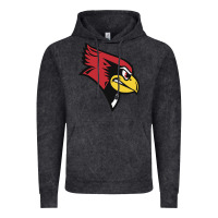 Vintage Black illinois state redbirds Vintage Hoodie - linhVisuals