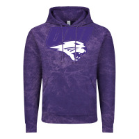 Northern Iowa Panthers Vintage Hoodie | Teevron