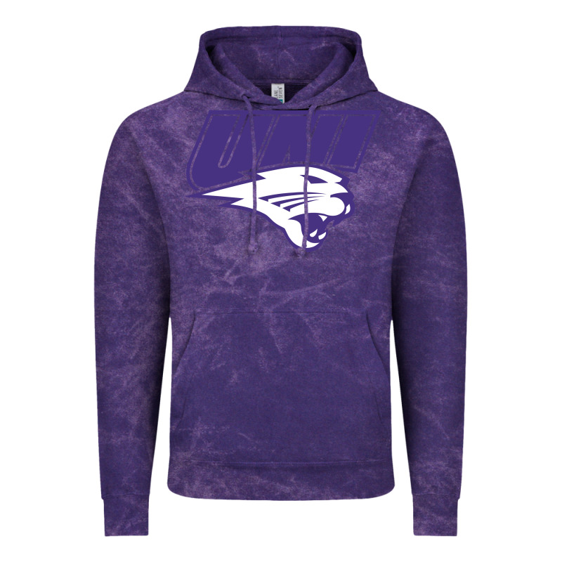 Northern Iowa Panthers Vintage Hoodie by linhVisuals | Teevron
