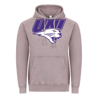 Vintage Zinc northern iowa panthers Vintage Hoodie - linhVisuals