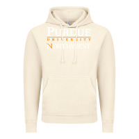 Vintage Artic purdue university northwest Vintage Hoodie - linhVisuals