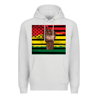 Dove Grey Juneteenth American flag Premium Hoodie - Artiststas