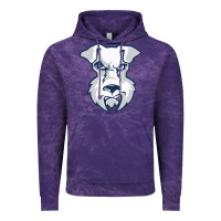 St. Francis Brooklyn Terriers Vintage Hoodie | Teevron