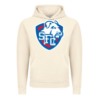 Vintage Artic st. francis brooklyn terriers Vintage Hoodie - linhVisuals