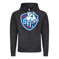 Vintage Black st. francis brooklyn terriers Vintage Hoodie - linhVisuals