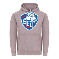 Vintage Zinc st. francis brooklyn terriers Vintage Hoodie - linhVisuals