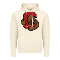 Vintage Artic cornell Vintage Hoodie - linhVisuals