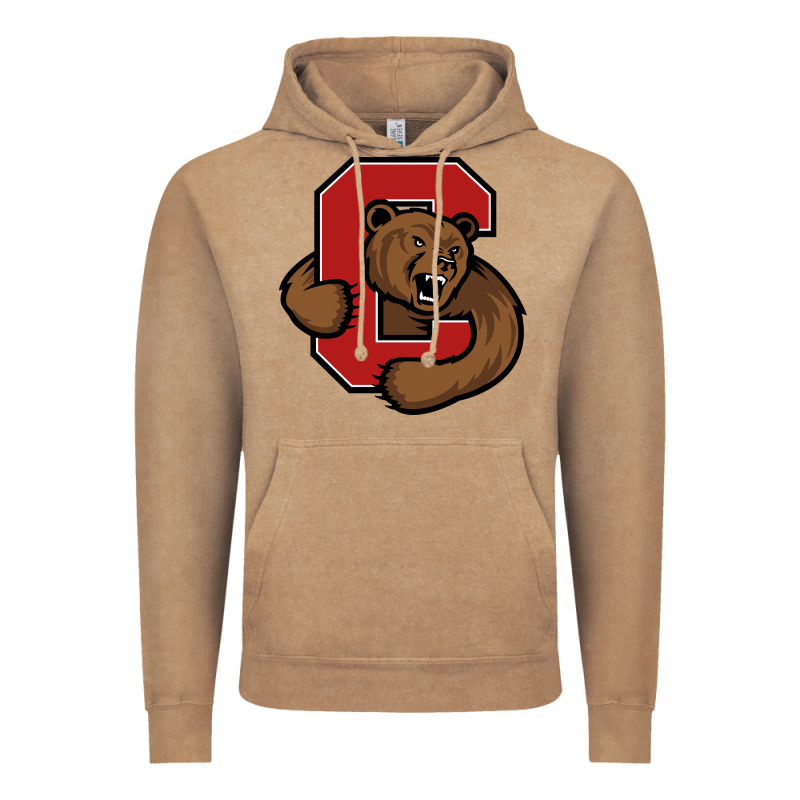 Cornell Vintage Hoodie by linhVisuals | Teevron