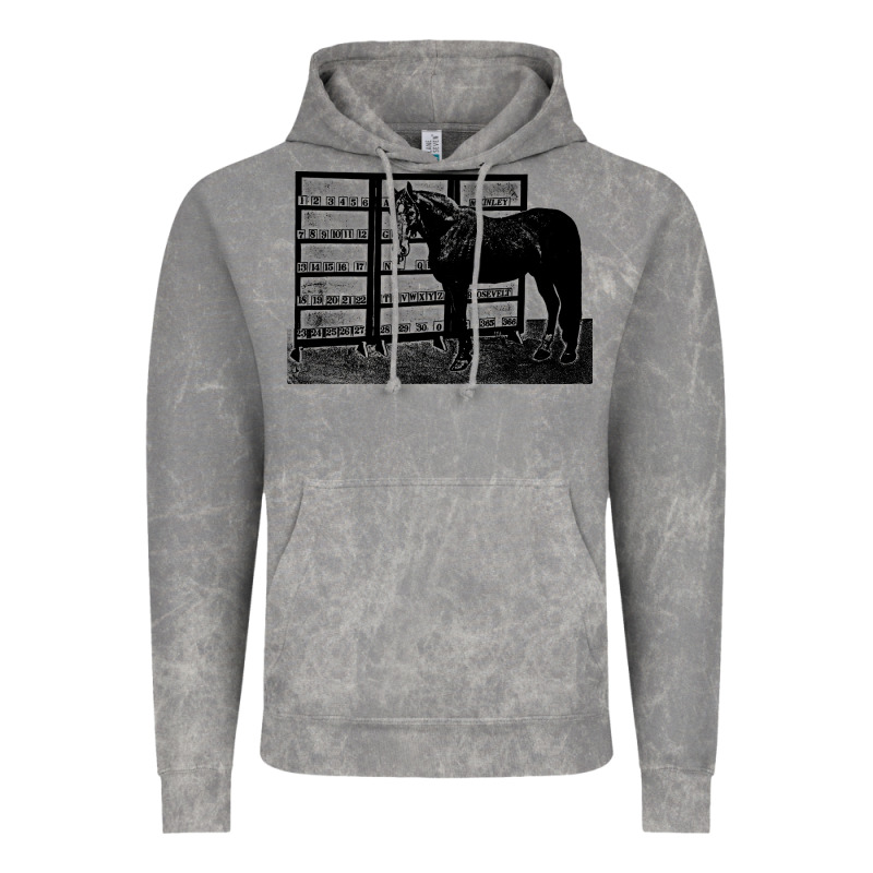 Beautiful Jim Key  Performing Horse Vintage Hoodie by linhVisuals | Teevron
