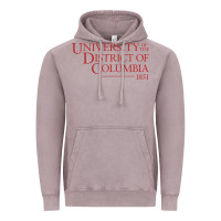 Vintage Zinc University of the District of Columbia Vintage Hoodie - linhVisuals