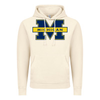 Vintage Artic michigan Vintage Hoodie - linhVisuals