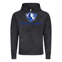 Eastern Illinois Panthers Vintage Hoodie | Teevron