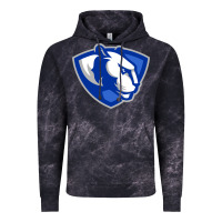 Cloud Black eastern illinois panthers Vintage Hoodie - linhVisuals