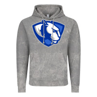 Cloud Rock eastern illinois panthers Vintage Hoodie - linhVisuals