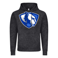 Vintage Black eastern illinois panthers Vintage Hoodie - linhVisuals