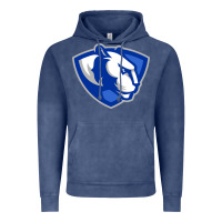 Vintage Denim eastern illinois panthers Vintage Hoodie - linhVisuals