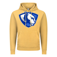 Eastern Illinois Panthers Vintage Hoodie | Teevron