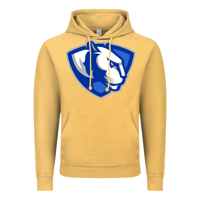Eastern Illinois Panthers Vintage Hoodie by linhVisuals | Teevron