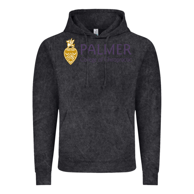 College Of Chiropractic Vintage Hoodie by linhVisuals | Teevron