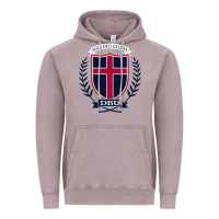 Vintage Zinc db Vintage Hoodie - linhVisuals