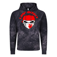 Limp Bizkit 28 Vintage Hoodie | Teevron