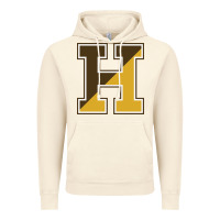 Vintage Artic haverhill high school Vintage Hoodie - linhVisuals