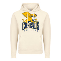Vintage Artic canisius golden griffins Vintage Hoodie - linhVisuals