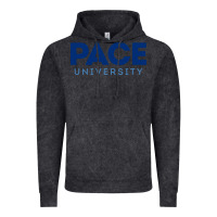 Vintage Black Pace University Vintage Hoodie - linhVisuals