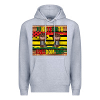 Heather Grey juneteenth freedom day tumbler Premium Hoodie - Artiststas