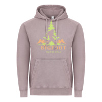 Vintage Zinc bigfoot t  shirt bigfoot take me away t  shirt Vintage Hoodie - linhVisuals