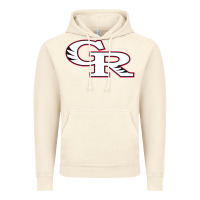 Vintage Artic glen ridge high school Vintage Hoodie - linhVisuals