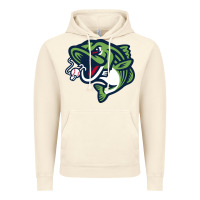 Vintage Artic gwinnett stripers Vintage Hoodie - linhVisuals
