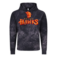 Cloud Black the-boise-hawks-fan Vintage Hoodie - linhVisuals