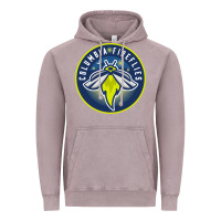 Vintage Zinc the-columbia-fireflies-merch Vintage Hoodie - linhVisuals