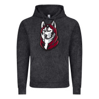 Vintage Black bloomsburg huskies Vintage Hoodie - linhVisuals