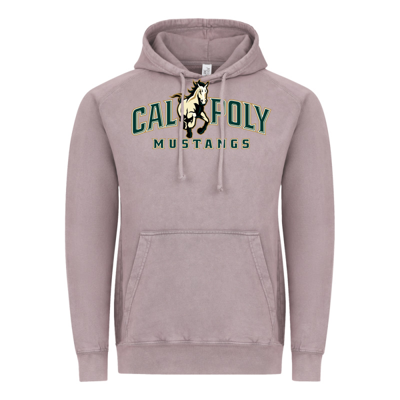 Cal Poly Vintage Hoodie by linhVisuals | Teevron