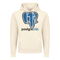 Vintage Artic Postgresql Vintage Hoodie - linhVisuals