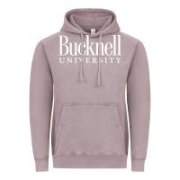 Vintage Zinc bucknell university Vintage Hoodie - linhVisuals