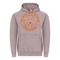 Vintage Zinc The University of Texas Permian Basin Vintage Hoodie - linhVisuals