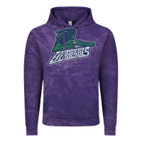 Cloud Purple the-florida-everblades-merch Vintage Hoodie - linhVisuals