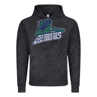 Vintage Black the-florida-everblades-merch Vintage Hoodie - linhVisuals