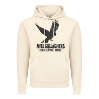 Vintage Artic noel gallagher's high flying birds classic Vintage Hoodie - linhVisuals