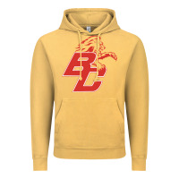Boyd County High School Baseball Vintage Hoodie | Teevron
